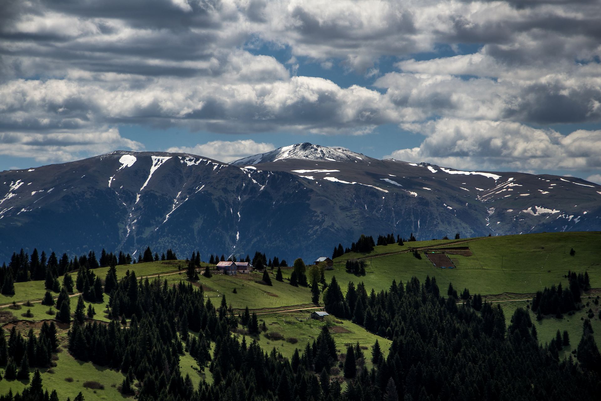 Kulakkaya Yaylası’nda ladin ormanları, yayla evleri ve karlı dağlar