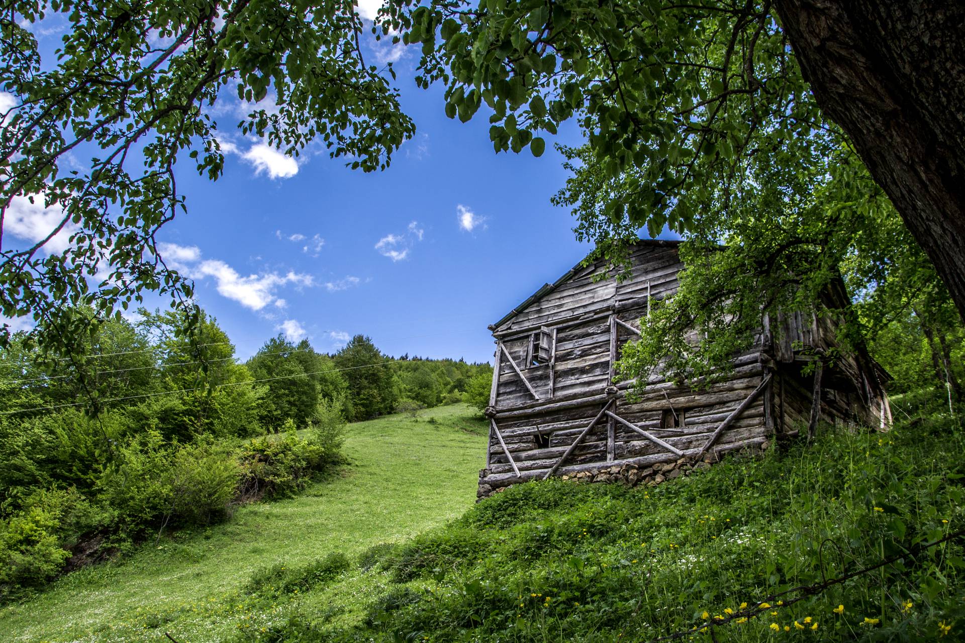 Merek’te yeşillikler arasında eski ahşap yayla evi
